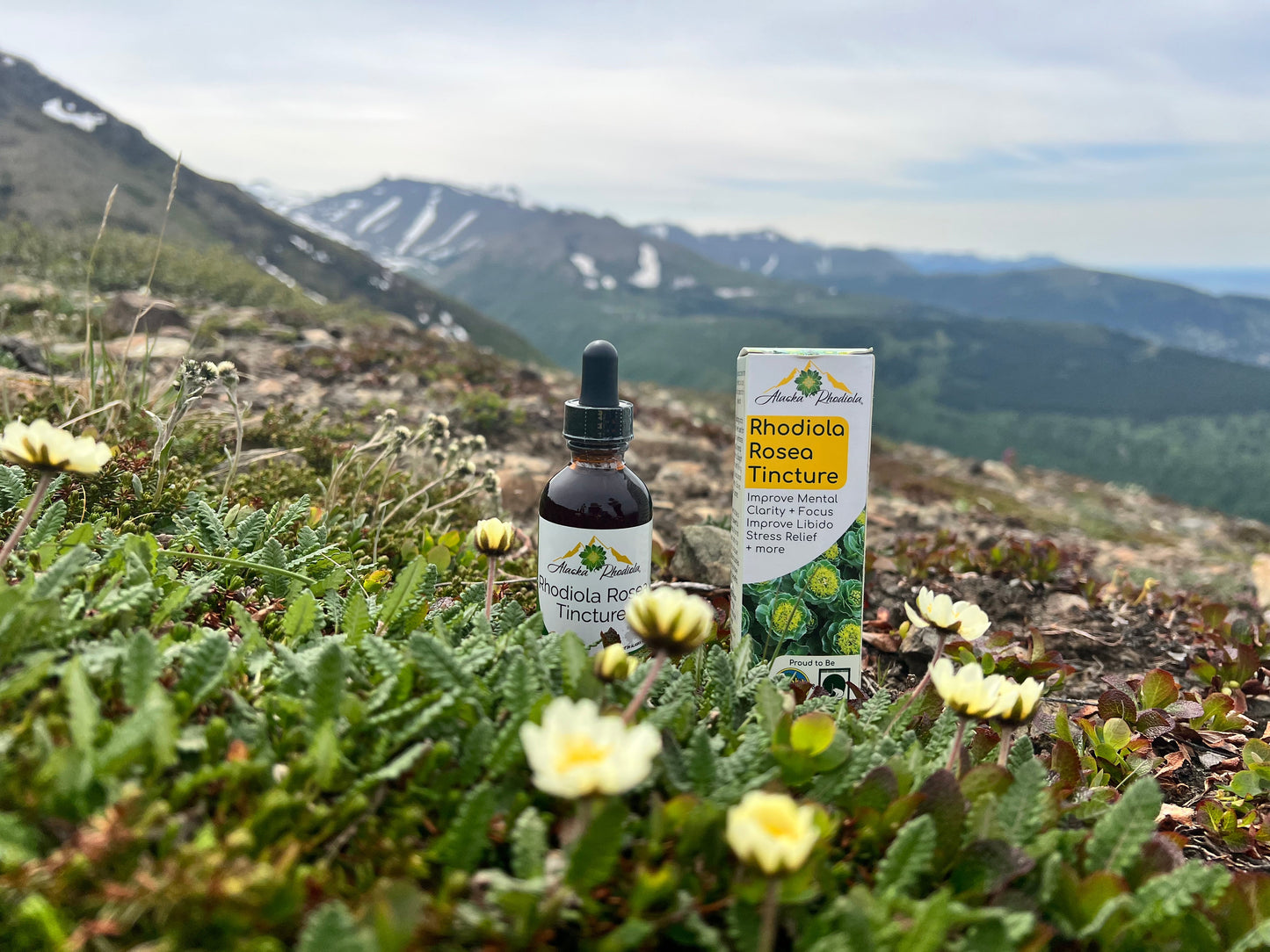 Rhodiola Rosea Tincture – Natural Stress & Energy Support (2 oz) (Copy)