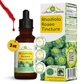 Rhodiola Rosea Tincture – Natural Stress & Energy Support (2 oz) (Copy)