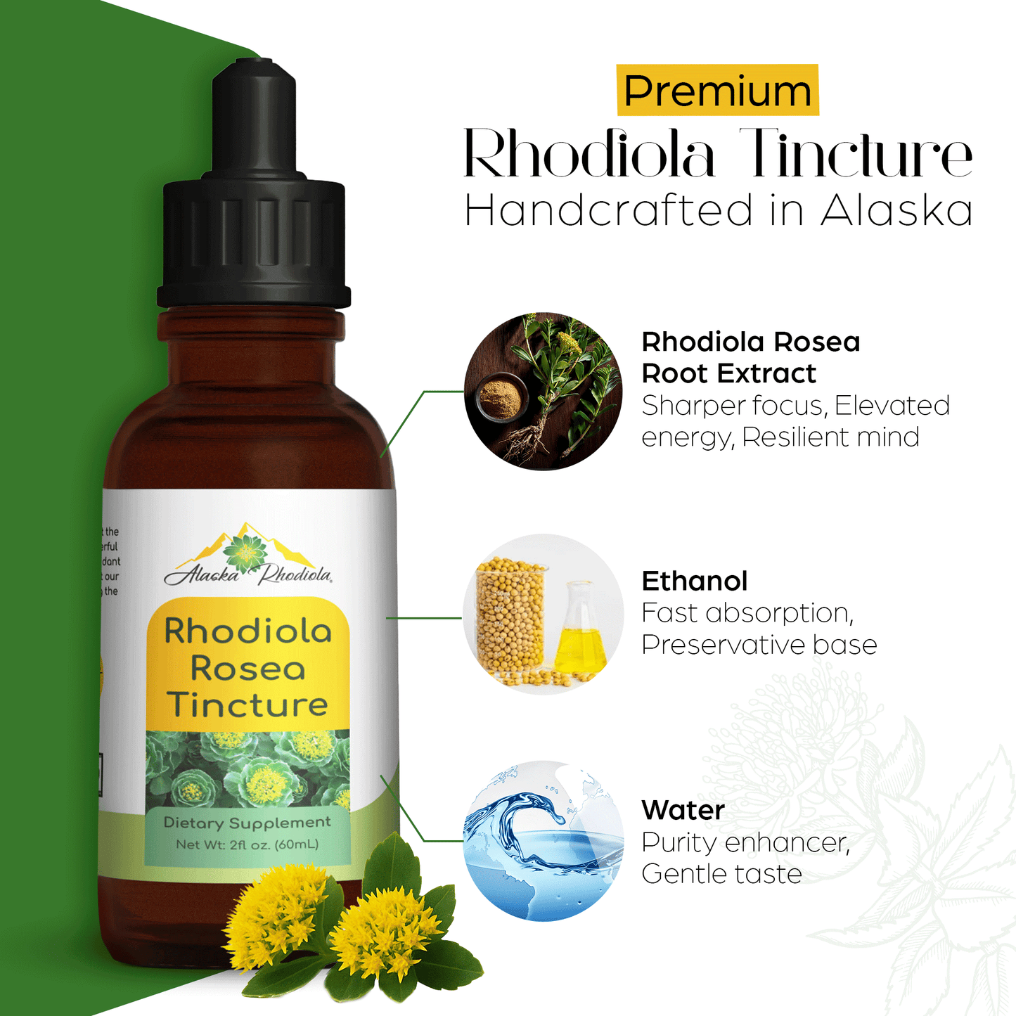 Rhodiola Rosea Tincture – Natural Stress & Energy Support (2 oz) (Copy)