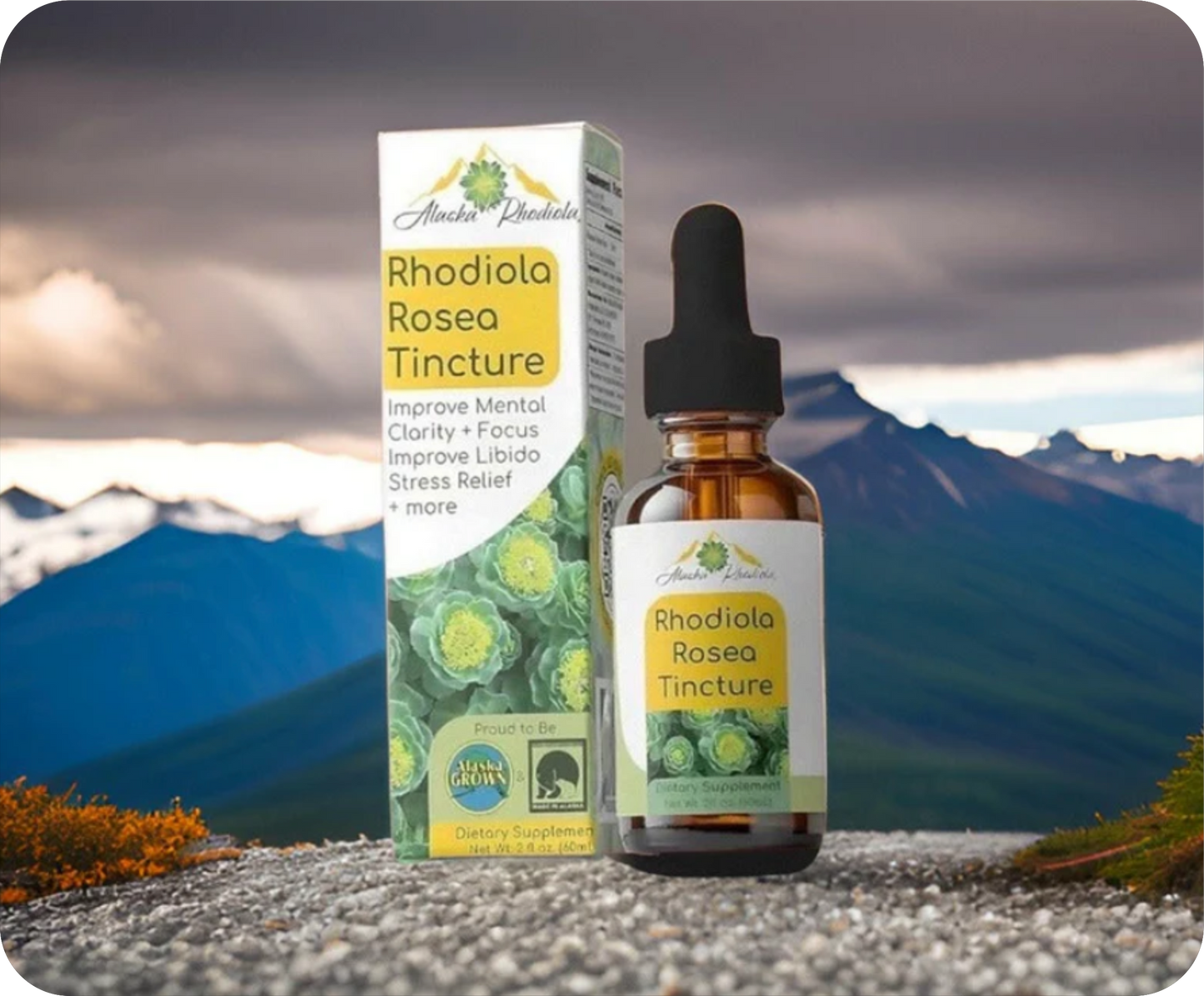 Rhodiola Rosea Tincture – Natural Stress & Energy Support (2 oz) (Copy)